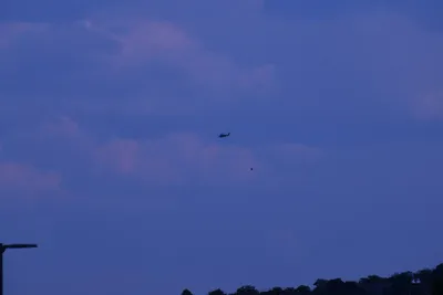 DSC_1873 (Large).JPG